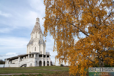 Лучшие осенние фото 2023: прекрасная золотая осень и туман в Москве