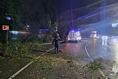 Ураган в Сочи: рухнули десятки деревьев, повреждены здания и водопровод