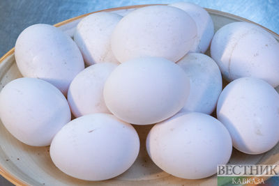 Россия получила еще две партии куриных яиц из Азербайджана