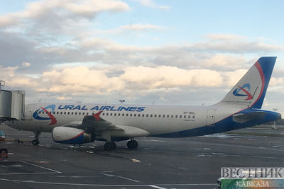 Самолет Дубай-Москва развернулся в воздухе из-за нездоровья пассажирки