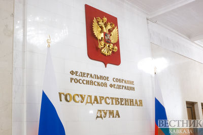 Госдума приняла законопроект о выборах губернаторов во втором чтении