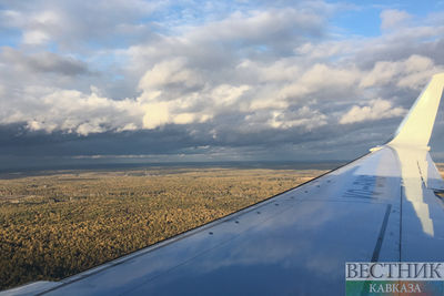 Самолет, севший в поле под Новосибирском, может стать достопримечательностью