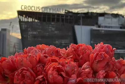 Как выглядит сгоревший Крокус сити холл после теракта: цветы, игрушки, соболезнования