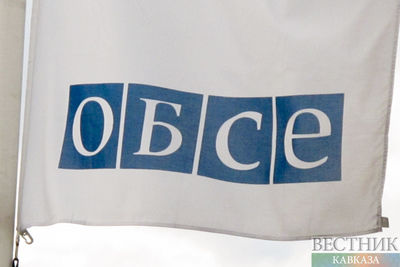 Нарушение перемирия на Украине может вызвать рост насилия - ОБСЕ