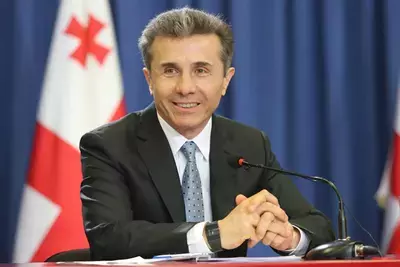Иванишвили пообещал преодолеть все препятствия на пути Грузии в ЕС